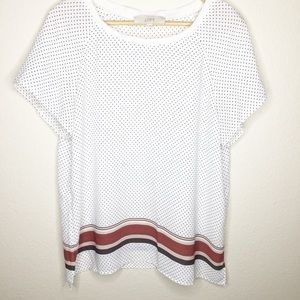 𝅺loft Short Sleeve Semi Sheer Polka Dot Stripe Top